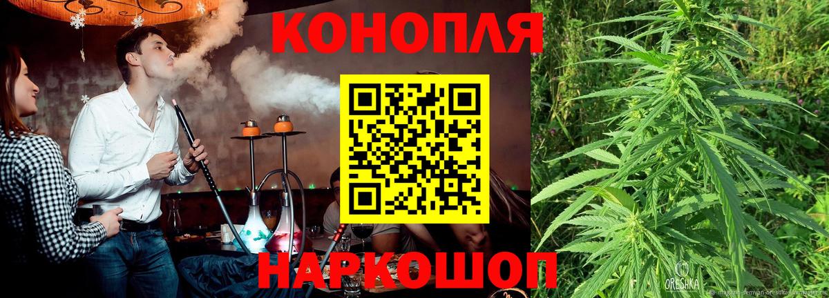 Конопля план  Каннабис планчик  Вход с VPN  Аргун 